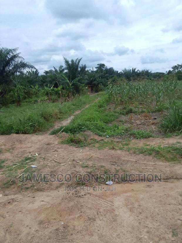 Farmland for Sale · Photo 4