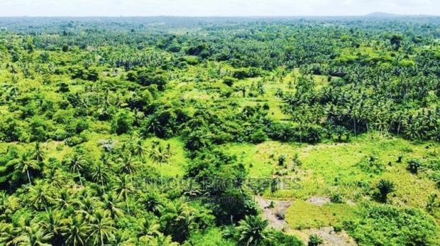 100,000 + Acres Farm Land Now Selling · Photo 1