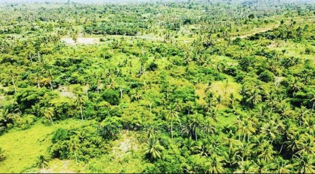 100,000 + Acres Farm Land Now Selling · Photo 4