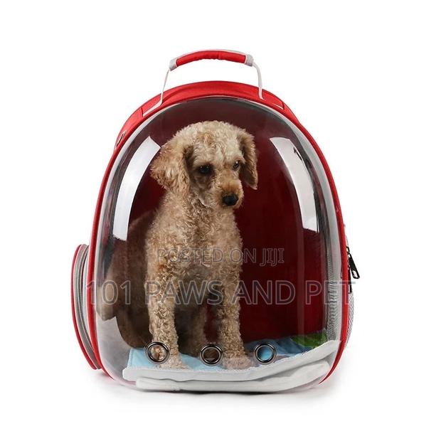 Pet Backpack Carriers Available · Photo 3
