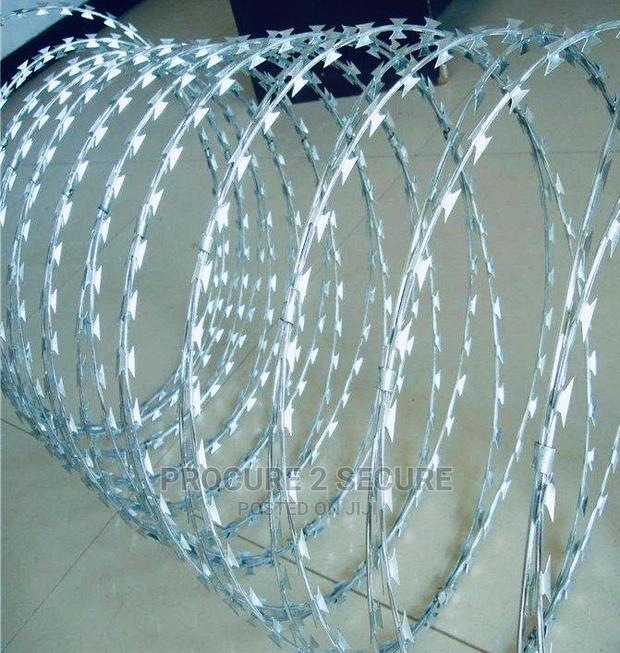 Galvanized Razor Wire · Photo 2