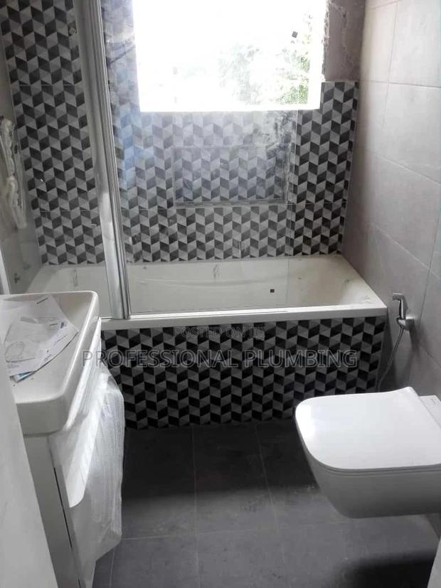 Professionals Plumbing Services photo 2