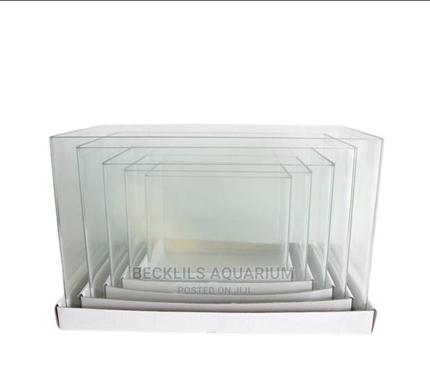 Open Table Top Aquariums Available · Photo 3