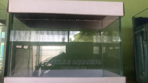 Open Table Top Aquariums Available · Photo 4