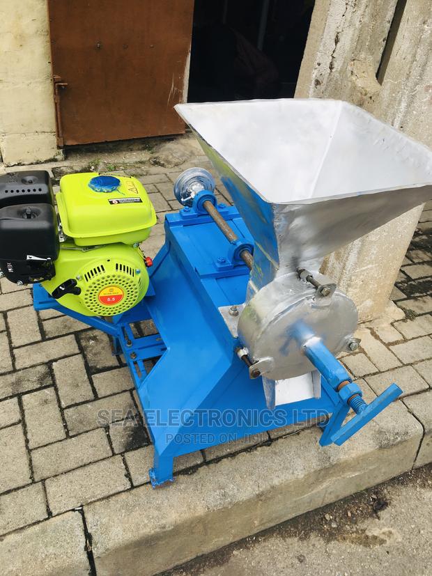 Pepper And Tomatoes Grinder Machine · Photo 2