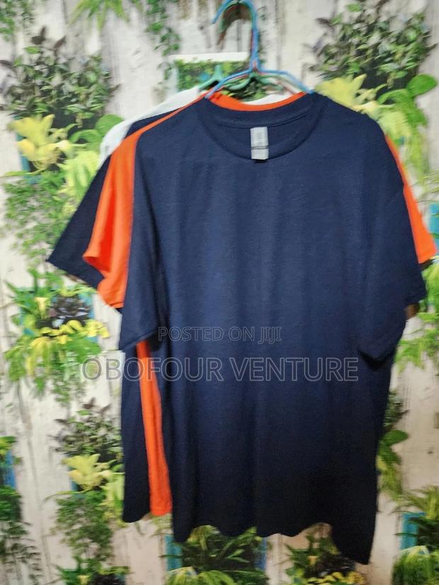 Quality Unisex Plain T-Shirt From USA · Photo 4