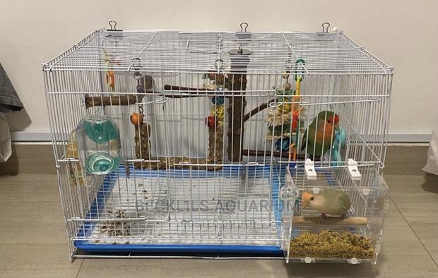 Quality Double Parrot Cages Available · Photo 4