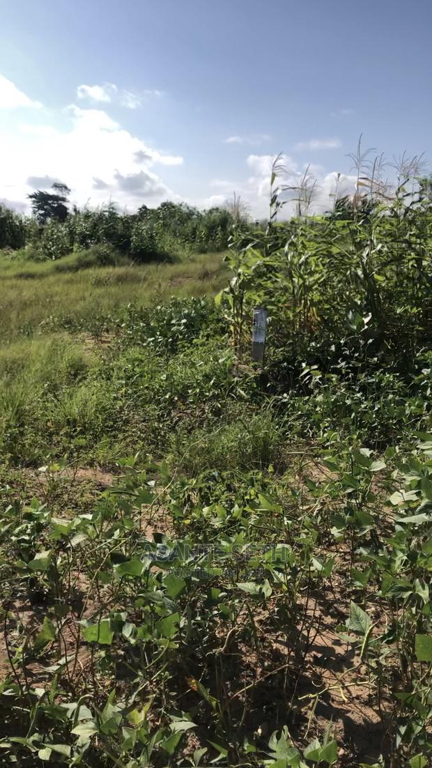 1 Plot of Lands for Sale With Original Documents