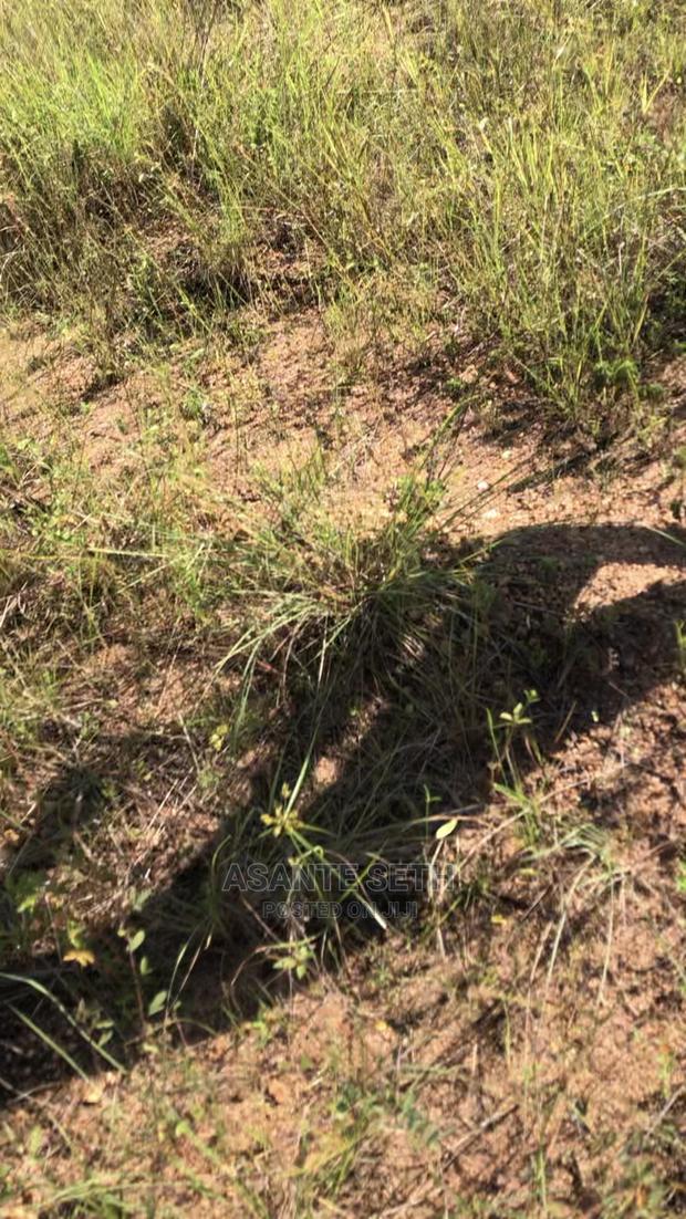 1 Plot of Lands for Sale With Original Documents photo 3