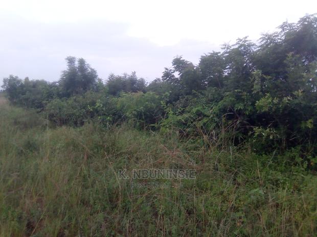 Farm Land for Sell at Asuboi · Photo 3