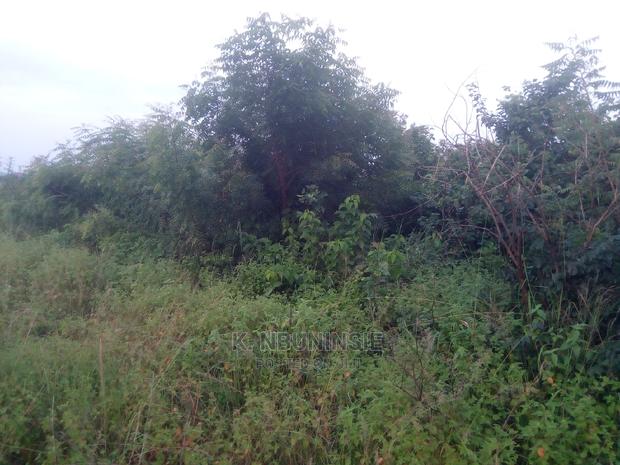 Farm Land for Sell at Asuboi · Photo 4