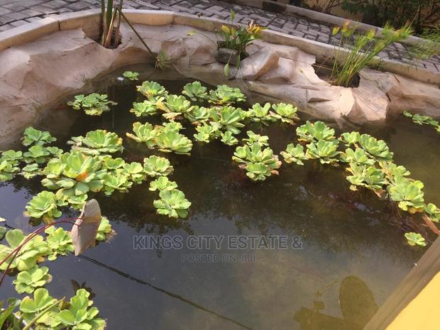 4bdrm House in Papaye-Street, Osu for rent photo 7