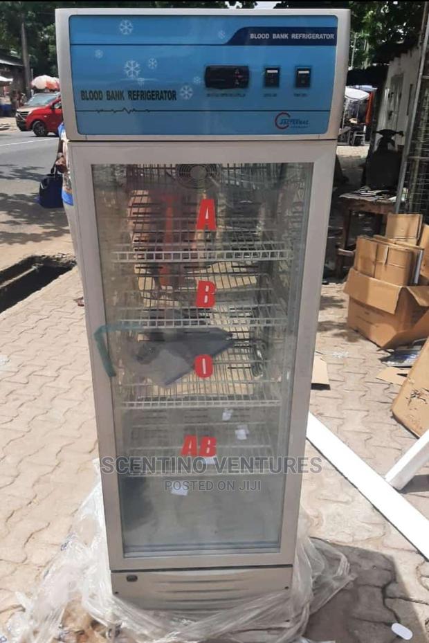 Blood Bank Refrigerator 170ltrs · Photo 2