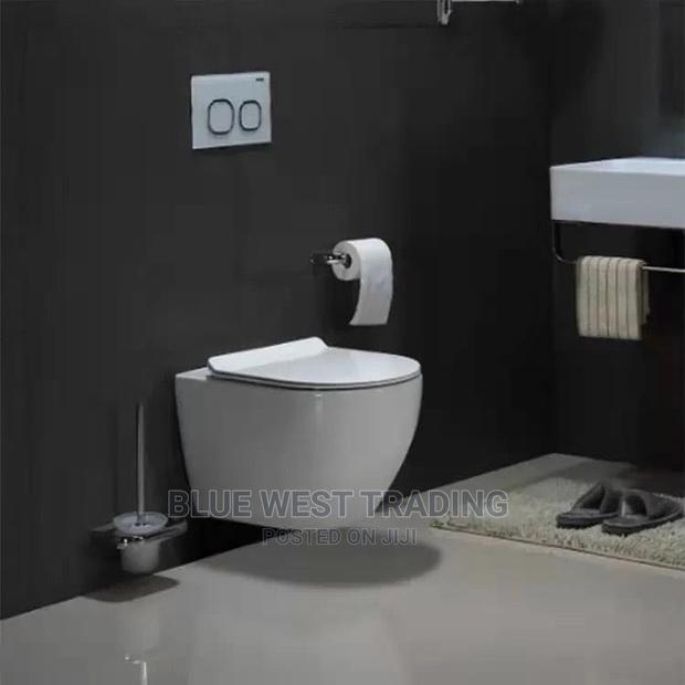 Hanging Water Closet - Concealed Water Closet · Photo 4