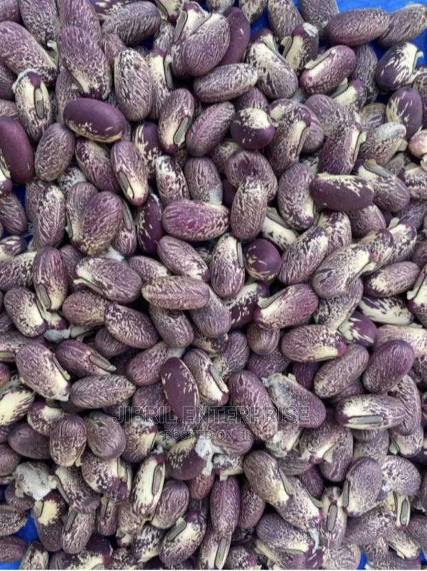 Purplish Sword Beans (Canavalia Gladiata) · Photo 4