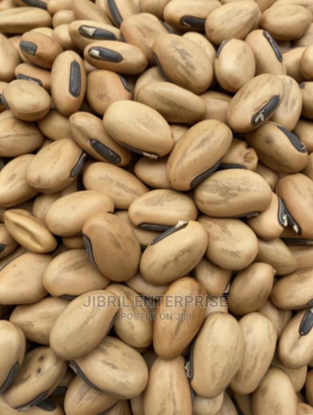 Yellowish Sword Beans (Canavalia Gladiata) · Photo 3