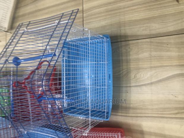Cages for Small Birds · Photo 4