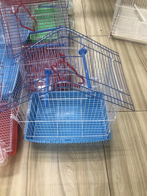 Cages for Small Birds · Photo 3