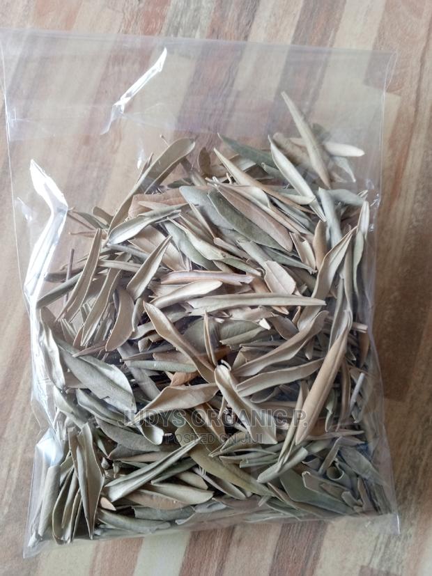Olive Leaves · Photo 2