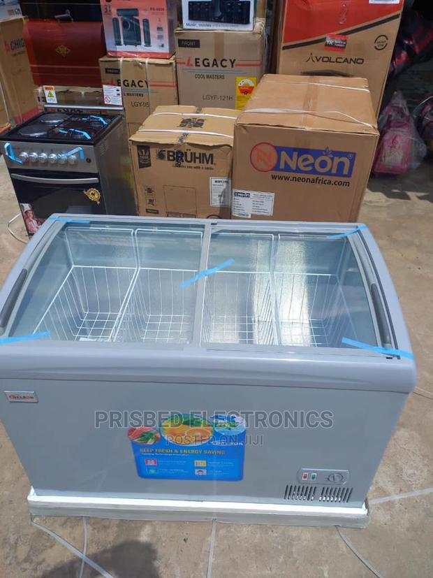 Delron Ice Cream/ Showcase Freezer 258 Litres · Photo 4