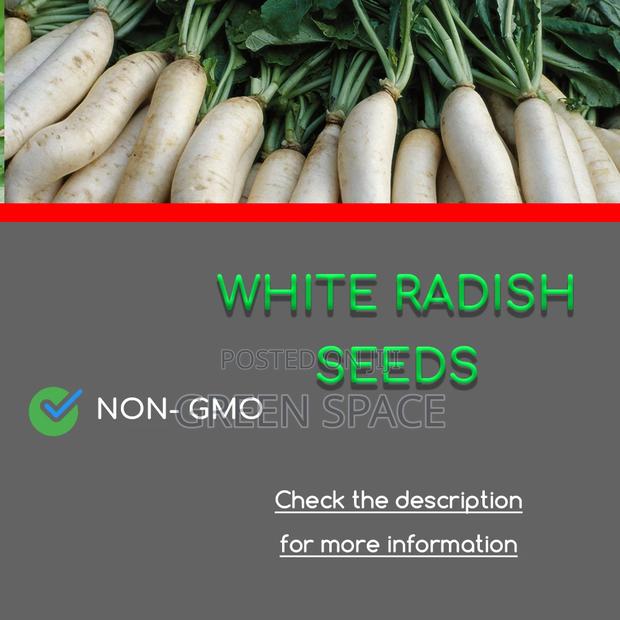 White Radish Seed