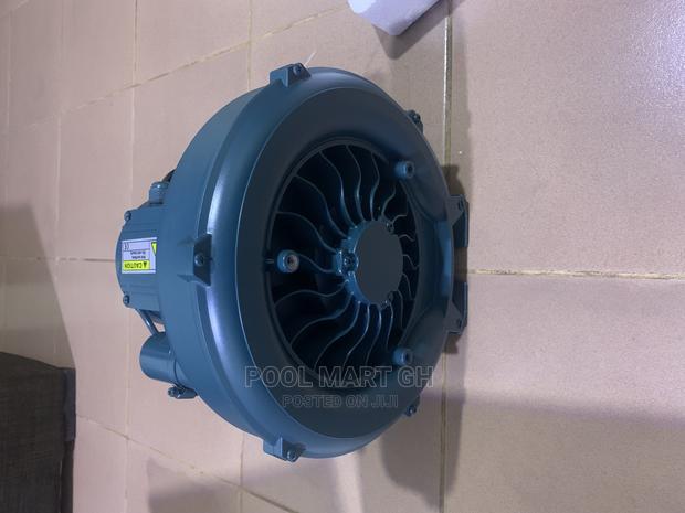 Jacuzzi Pump/Air Blower photo 2