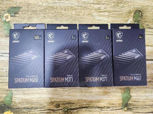Msi 4tb Nvme SSD Drive for Laptop and Desktop · Photo 4