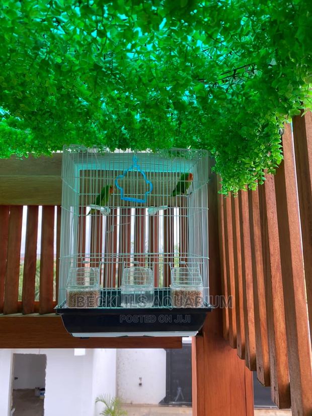 Large Parrot Cages for Parrot · Photo 4