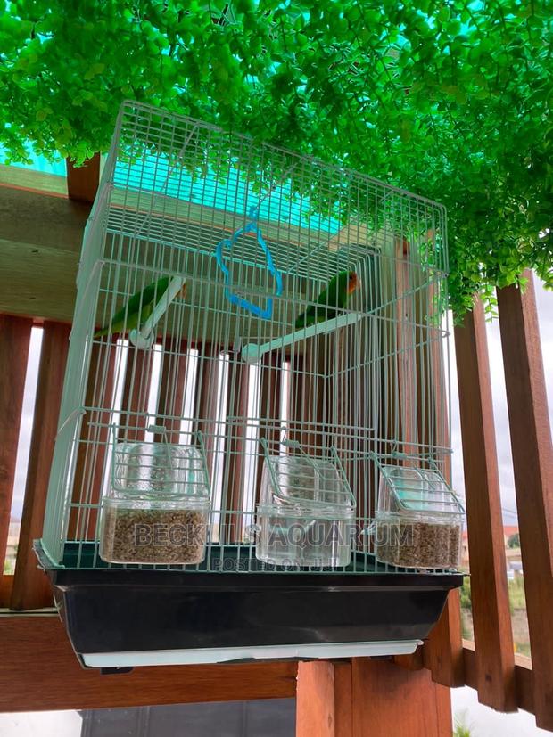 Large Parrot Cages for Parrot · Photo 3