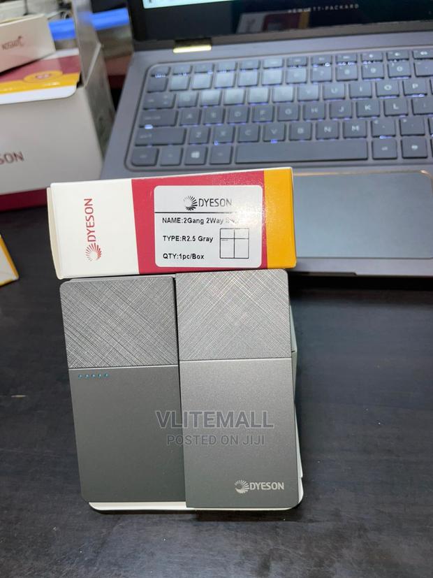 Dyeson 2gang 2way Gray(R2.5) · Photo 3