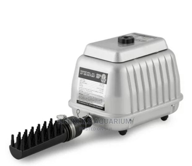 14 Outlet Air-Pumps for Ponds