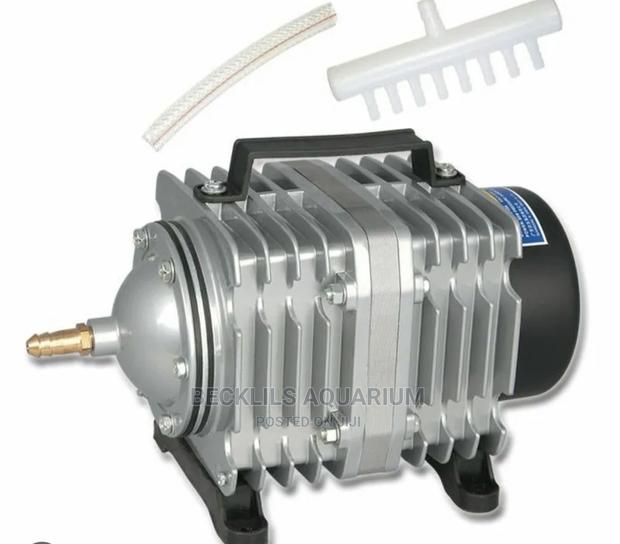 70 Watts Airpumps Available · Photo 4