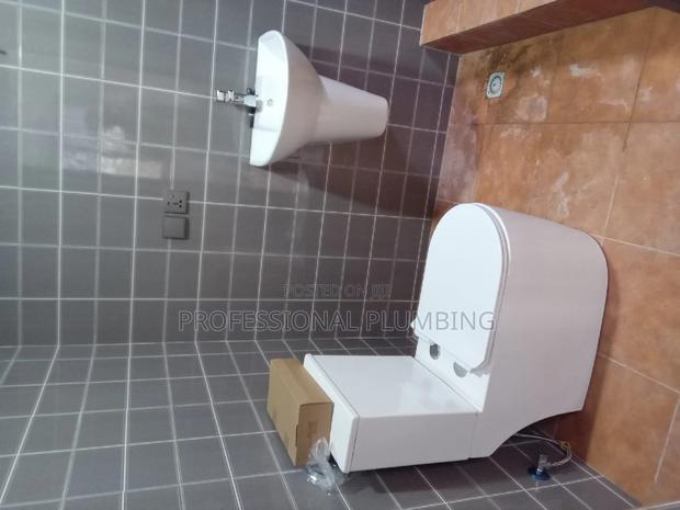 Professionals Plumbing Services
