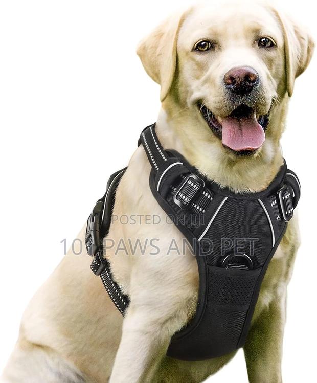 Escape Proof Dog Harness,Walking Hiking Training, L, Blue · Photo 3
