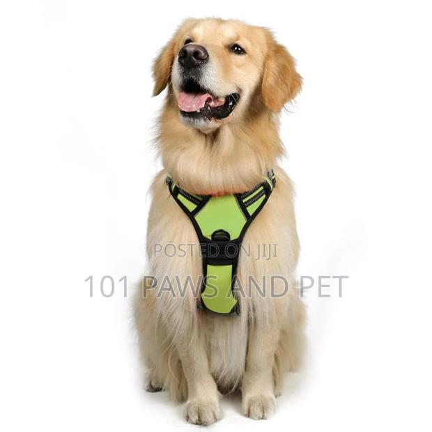 Escape Proof Dog Harness,Walking Hiking Training, L, Blue · Photo 4