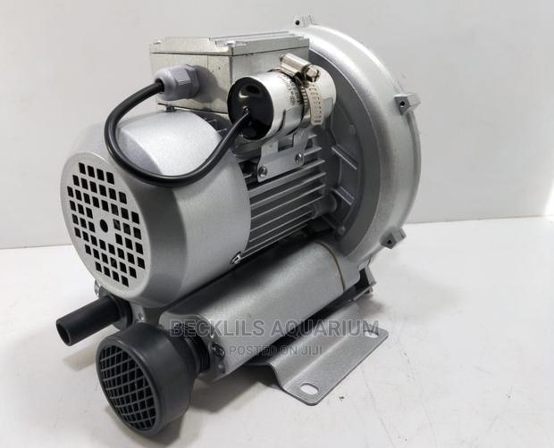 250 Watts Bigger Airpumps Available in Stock · Photo 3