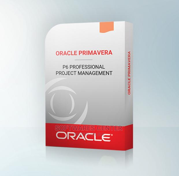 Primavera P6 V22 Project Management · Photo 2