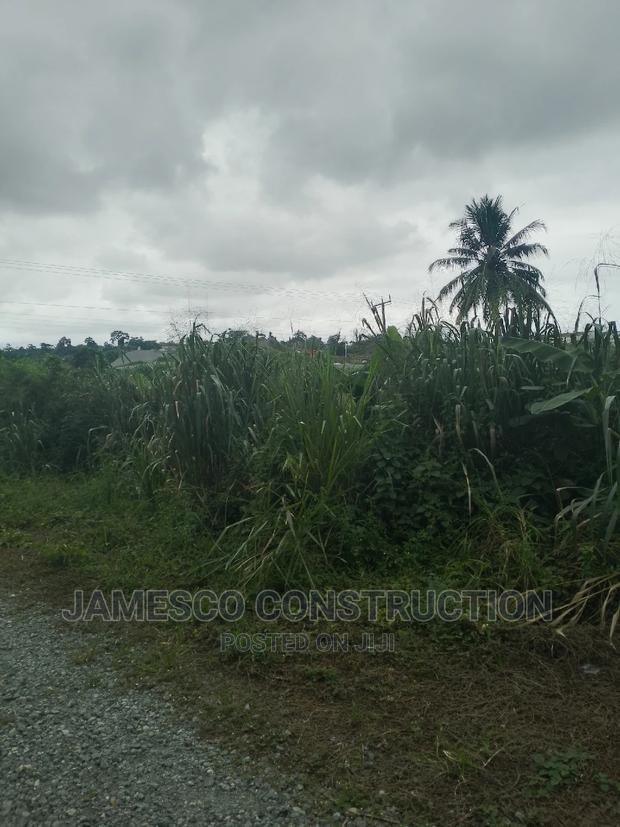 Two Plot of Land for Sale · Photo 4