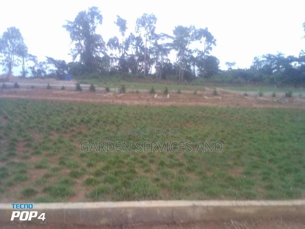 Call for Your Garden and Landscaping Project photo 8