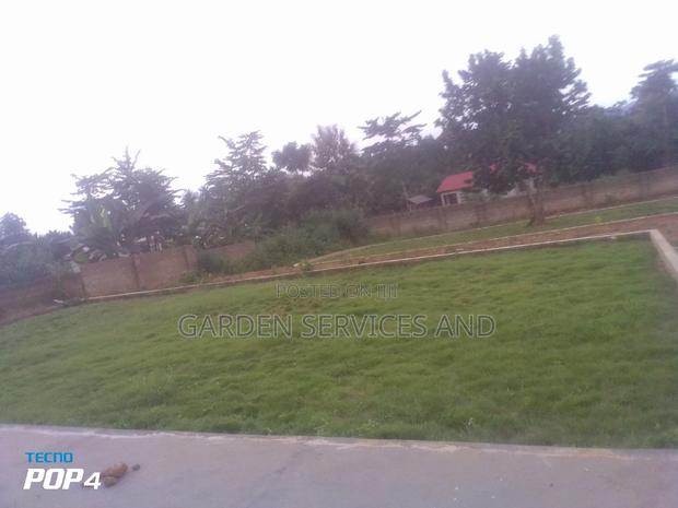 Call for Your Garden and Landscaping Project photo 5