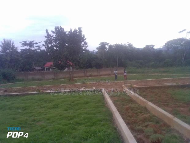 Call for Your Garden and Landscaping Project photo 6