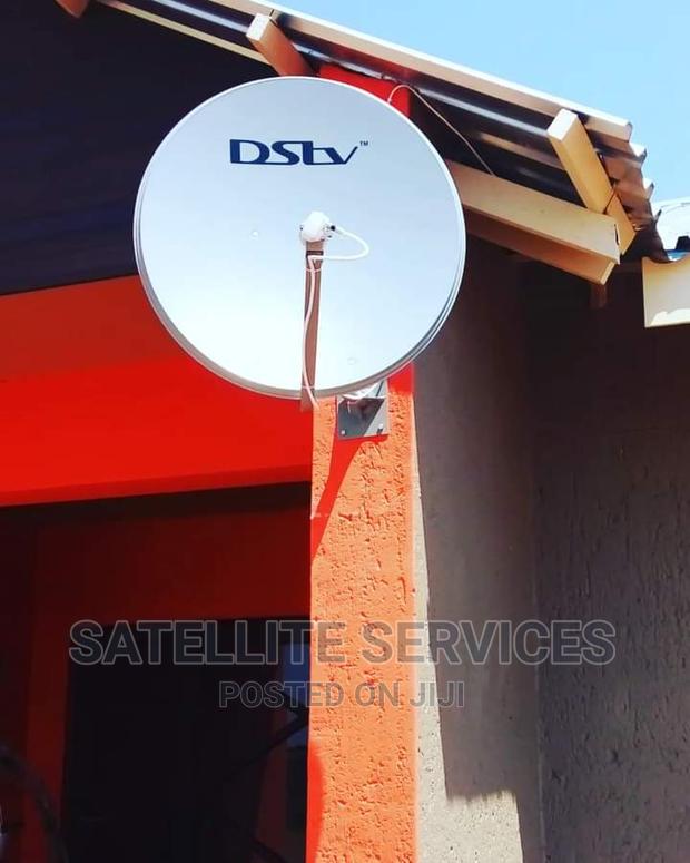 Dish of DS photo 7