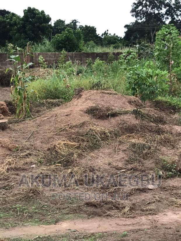 Plot of Land for Sale at Adjin Kotoku · Photo 4