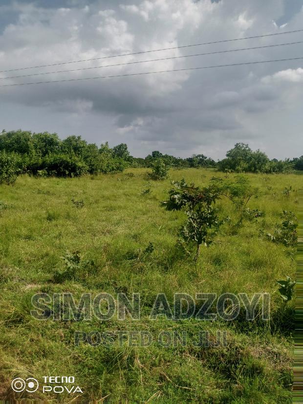 FARM Land For Sale