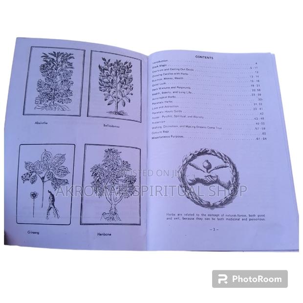 The Modern Herbal Spell Book photo 3