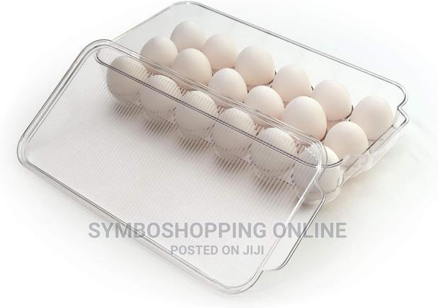 Totally Kitchen Egg Holder for Fridge Organizers 21 Eggs photo 2