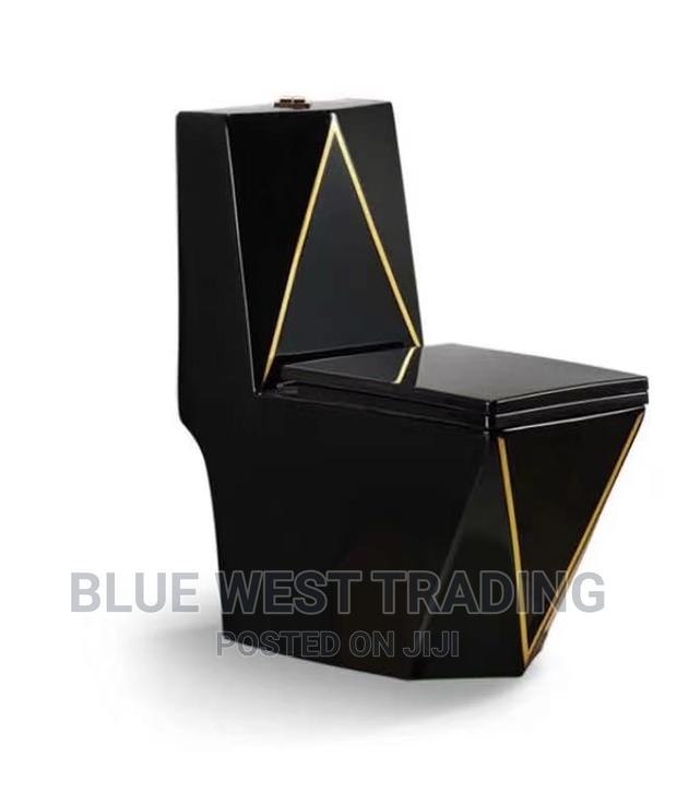 Black Water Closet - DIAMOND SHAPED WATER CLOSET · Photo 3