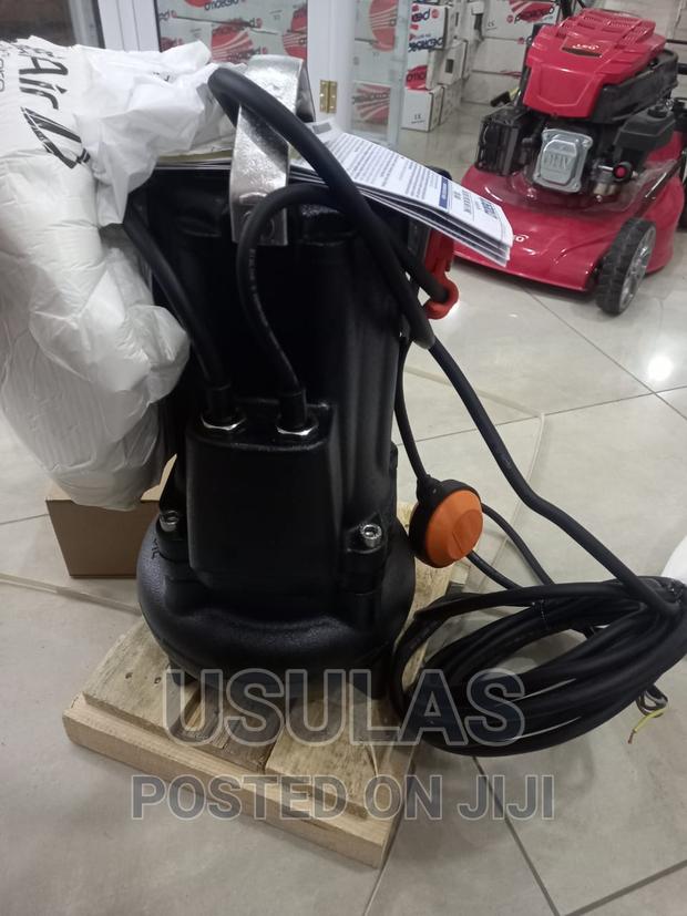 Pedrollo 2hp Sewage Pump photo 2