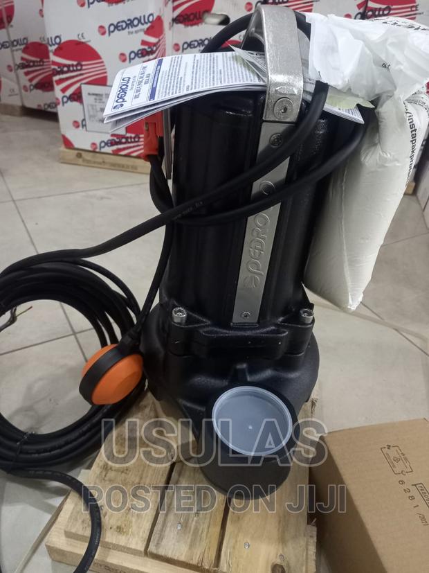 Pedrollo 2hp Sewage Pump photo 4