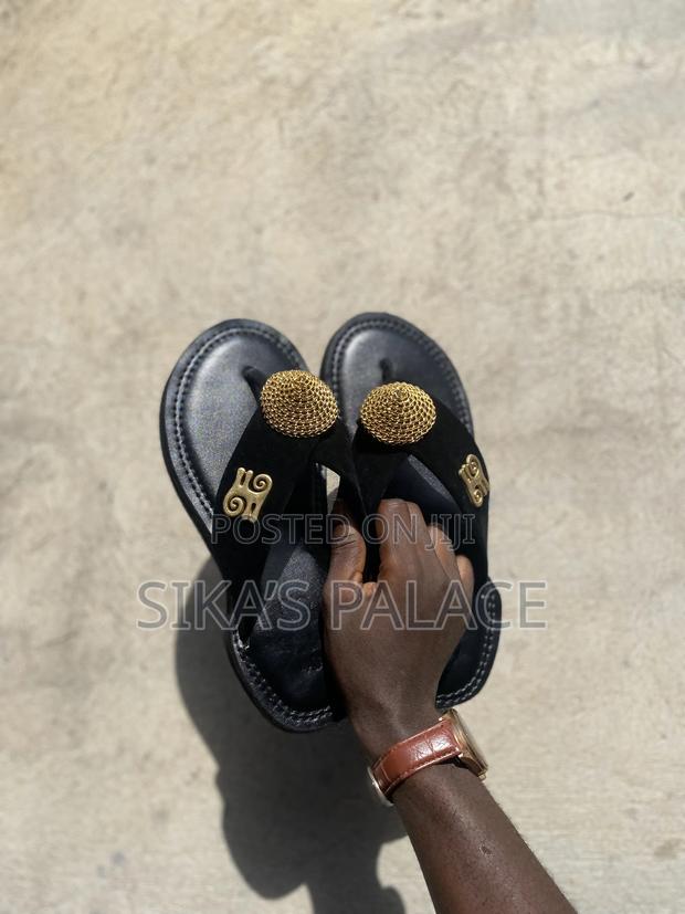Royal Black Chaw Chaw · Photo 3